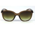 Óculos de Sol Acetato Feminino Caramelo - 34213CR