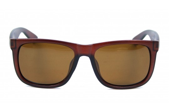 Óculos de Sol Acetato Masculino Marrom- 4165ACM