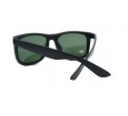 Óculos de Sol Acetato Masculino Preto Fosco Lt Verde - 4165ACPPFV