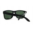 Óculos de Sol Acetato Masculino Preto Fosco Lt Verde - 9102PFV