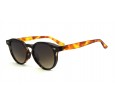 Óculos de Sol Acetato Unissex Estampado Marrom  - HP07199EM