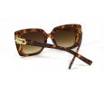 Óculos de Sol Acetato Feminino - HP07406EM