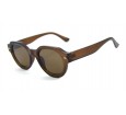 Óculos De Sol Acetato Unissex Marrom - HP08951M