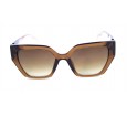 Óculos de Sol Acetato Feminino Marrom - HP09584M