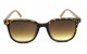 Óculos de Sol Acetato Unissex Estampado Marrom - HP09632EM