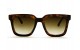 Óculos de Sol Acetato Feminino Becca Estampado Marrom Lt Marrom - HP212712EM