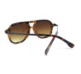 Óculos de Sol Acetato Unissex Estampado Marrom  - JL8293EM