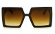 Óculos de Sol Acetato Feminino Marrom - LQ9073M